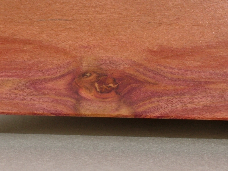 Garrard 301 XLT Zwetschge 14